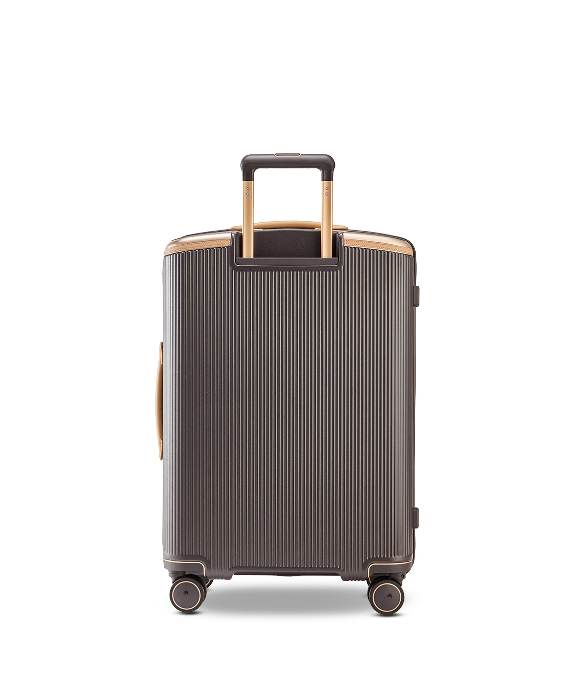 Echolac Dynasty VLX hardside suitcase in Dark Chocolate, Medium size (64 cm), back view