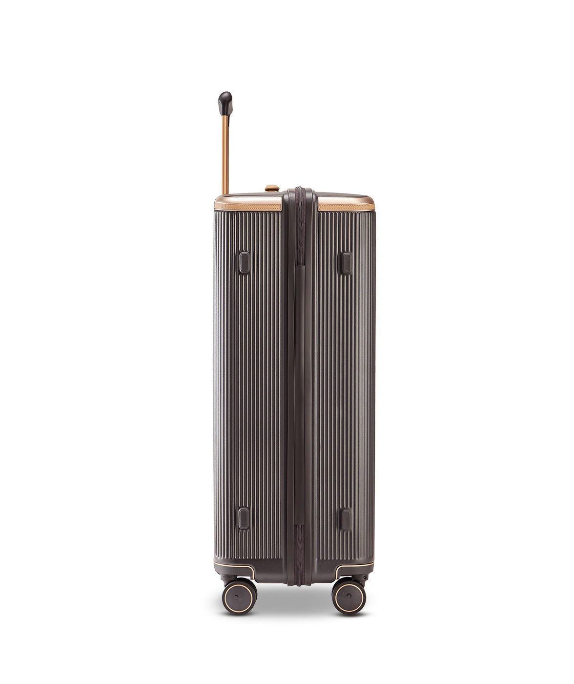 Echolac Dynasty VLX hardside suitcase in Dark Chocolate, Large size (75 cm), end view