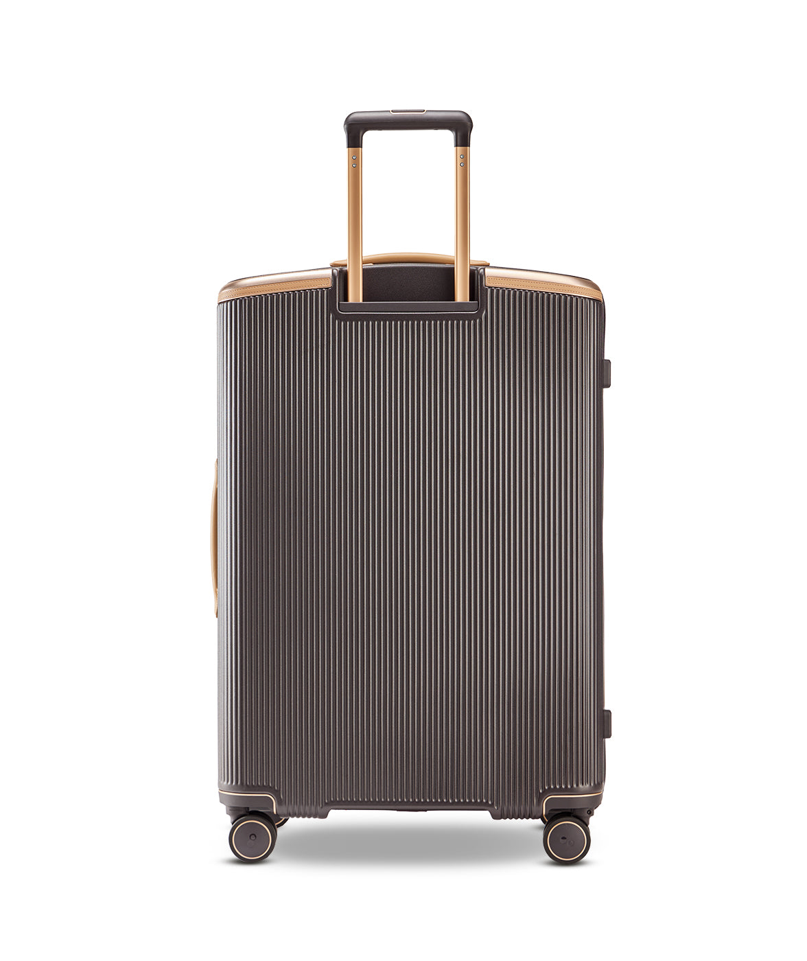 Echolac Dynasty VLX hardside suitcase in Dark Chocolate, Large size (75 cm), back view
